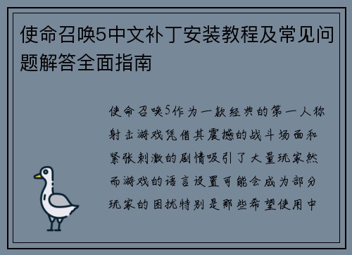 使命召唤5中文补丁安装教程及常见问题解答全面指南